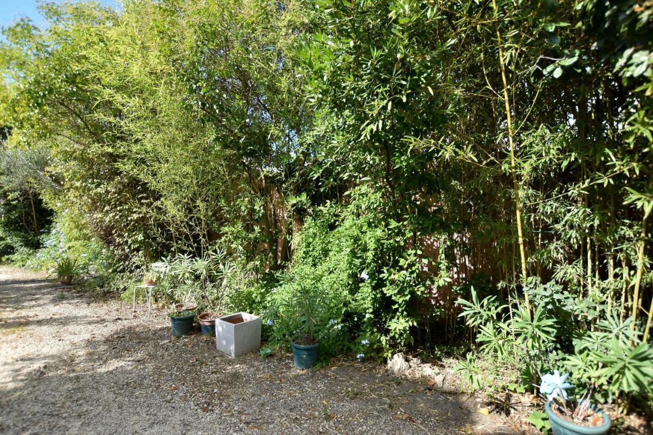 Apartament Moulin Rose, Parking - Jardin Arles Zewnętrze zdjęcie